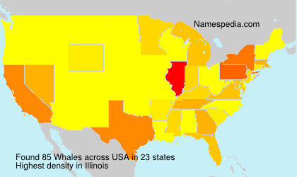 Whales Whales