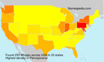 Whippo Whippo