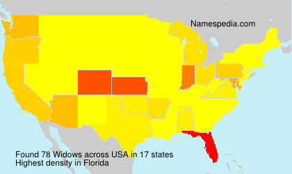 Surname Widows in USA Surname Widows in USA