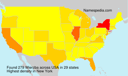Wierzba Wierzba