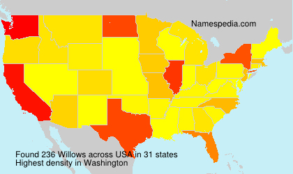 Surname Willows in USA Surname Willows in USA