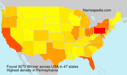 Surname Winner in USA Surname Winner in USA