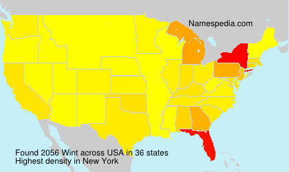 Surname Wint in USA Surname Wint in USA