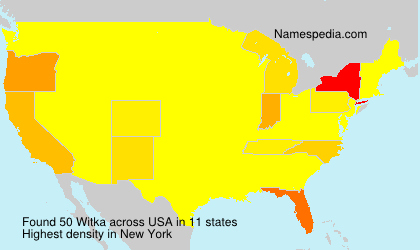 Surname Witka in USA