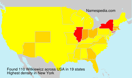 Surname Witkiewicz in USA Surname Witkiewicz in USA