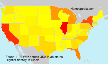Surname Witz in USA