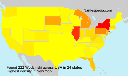 Surname Wodzinski in USA