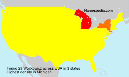 Surname Wojtkowicz in USA