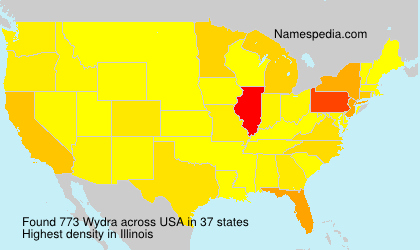 Wydra Wydra