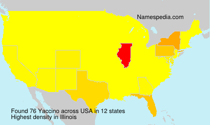 Surname Yaccino in USA