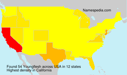 Surname Youngflesh in USA Surname Youngflesh in USA