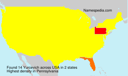 Yurcevich Yurcevich