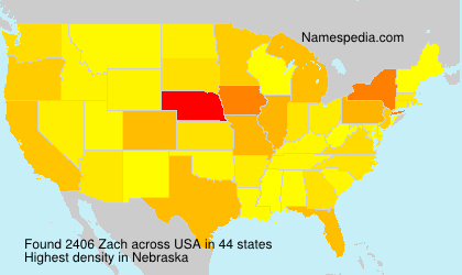 Zach Zach
