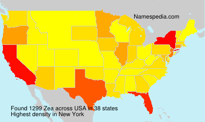 Zea Zea