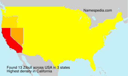 Zibull Zibull