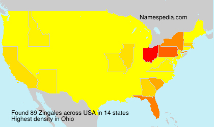 Surname Zingales in USA Surname Zingales in USA