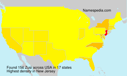 Zusi Zusi