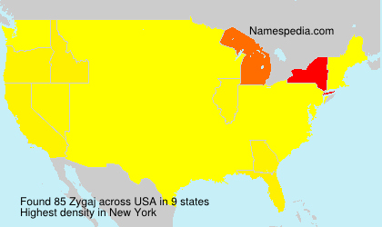Surname Zygaj in USA
