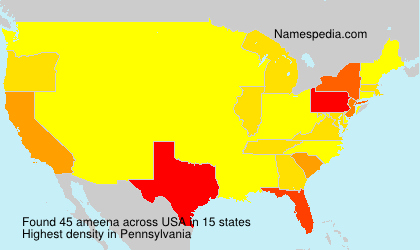 Surname ameena in USA Surname ameena in USA