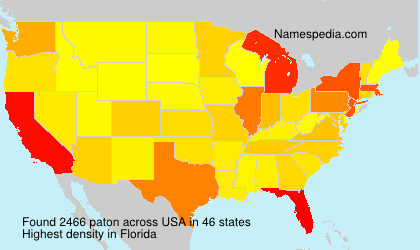 Surname paton in USA Surname paton in USA